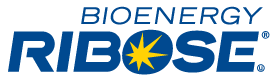 BioenergyRibose